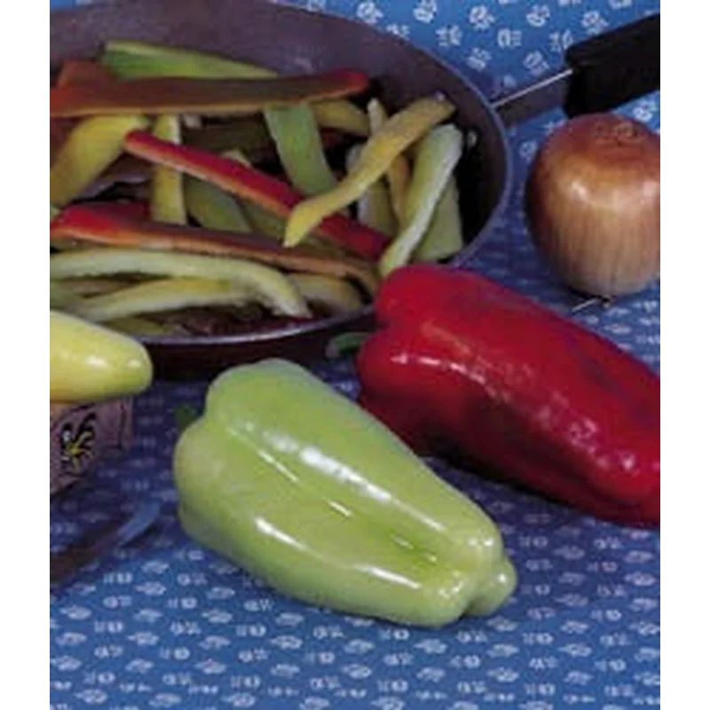PEPPER CUBANELLE – FLAT OF 32 PLANTS