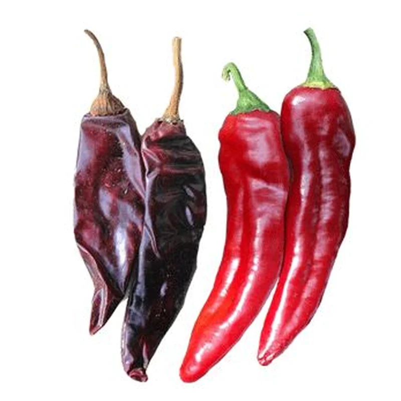 PEPPER DURANGO – 4″ POT