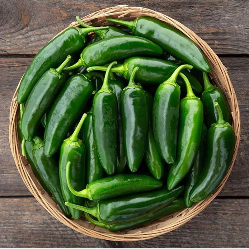 PEPPER FOOLED YOU JALAPENO