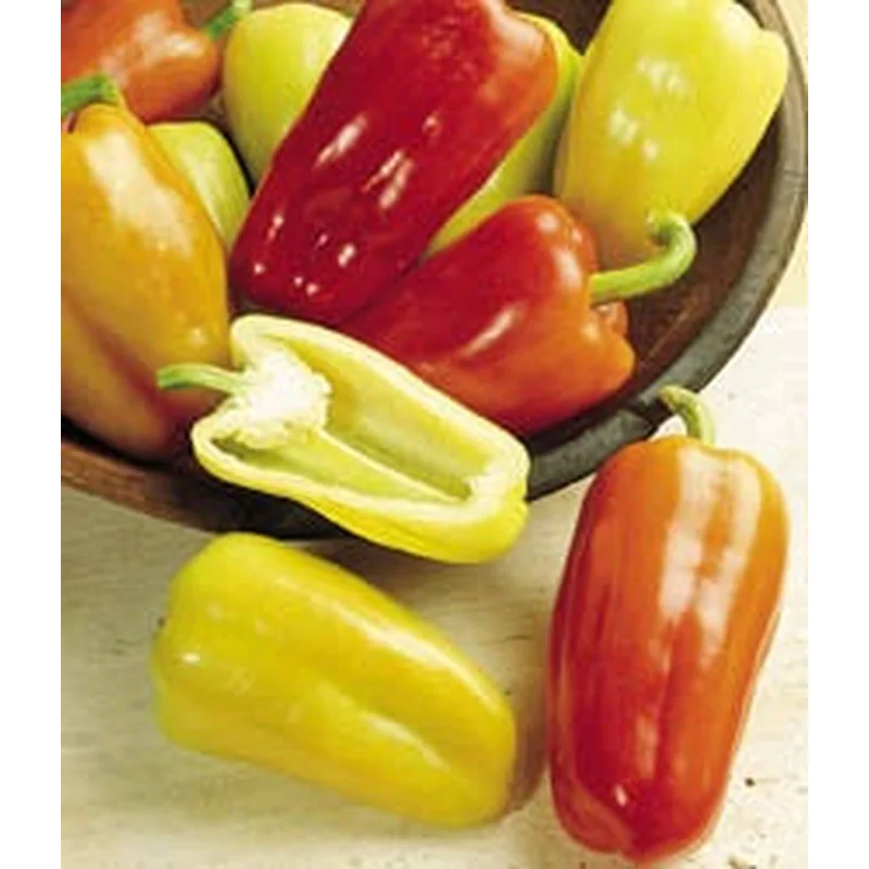 PEPPER GYPSY – FLAT OF 32 PLANTS