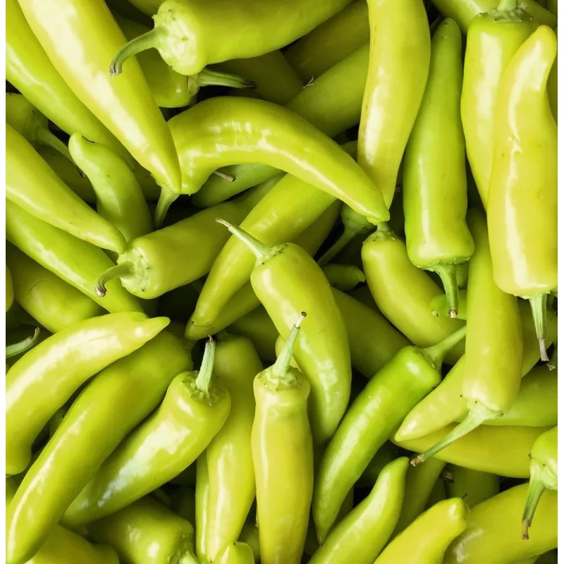 PEPPER HUNGARIAN YELLOW WAX – FLAT OF 32 PLANTS