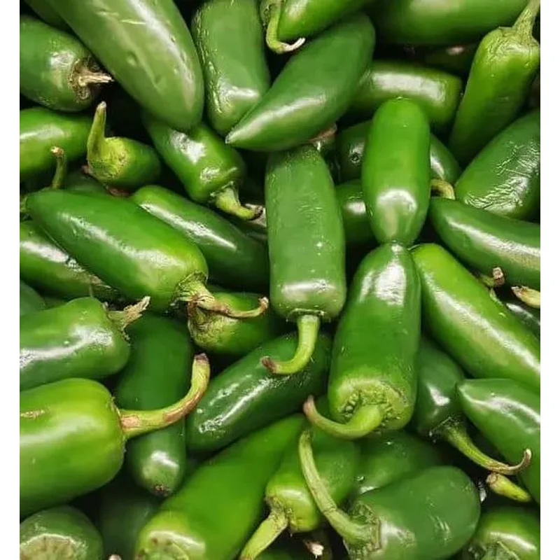 PEPPER JALAPENO HOT – FLAT OF 32 PLANTS