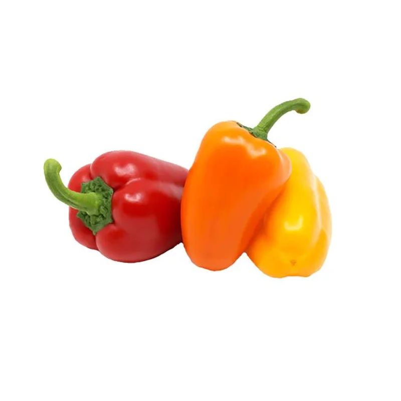 PEPPER MINI BELLE MIX – FLAT OF 32 PLANTS