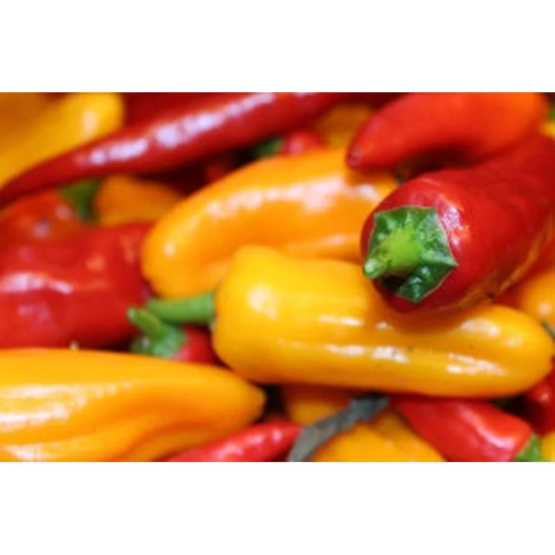 PEPPER YUMMI BLEND