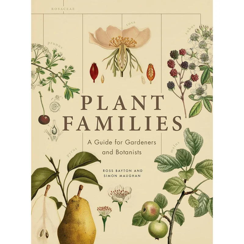 Plant Families: A Guide for Gardeners and Botanists by Ross Bayton & Simon Maughan