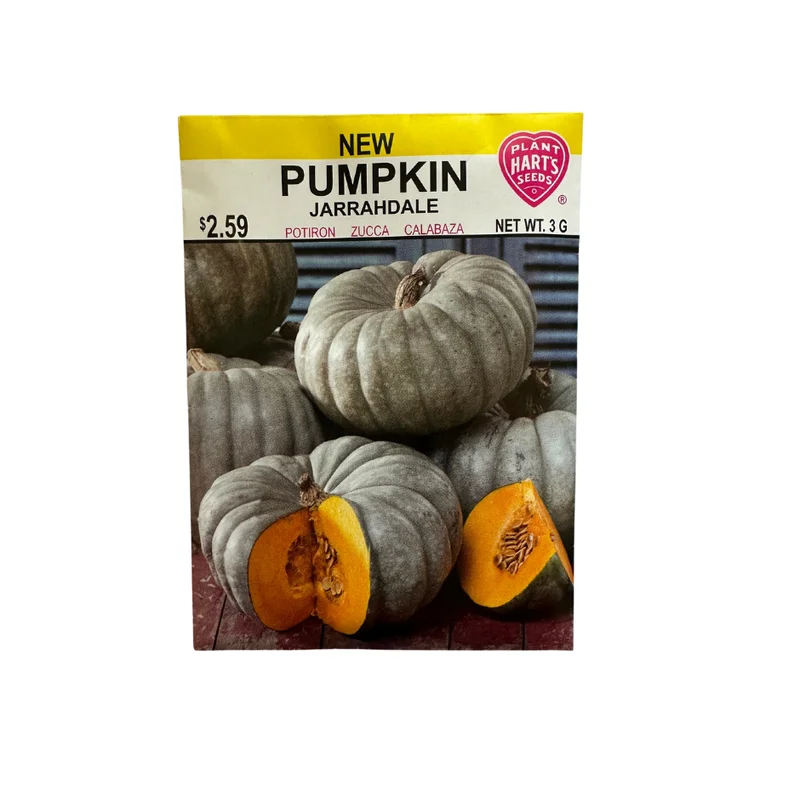 Pumpkin Jarrahdale
