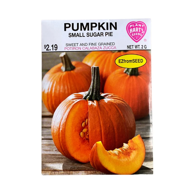 Pumpkin Small Sugar