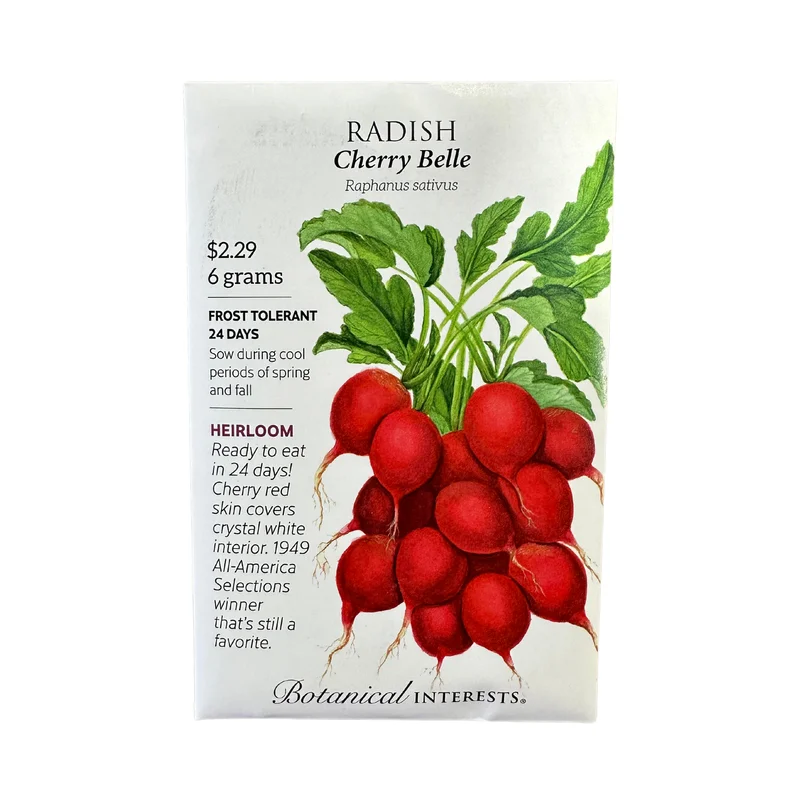 Radish Cherry Belle