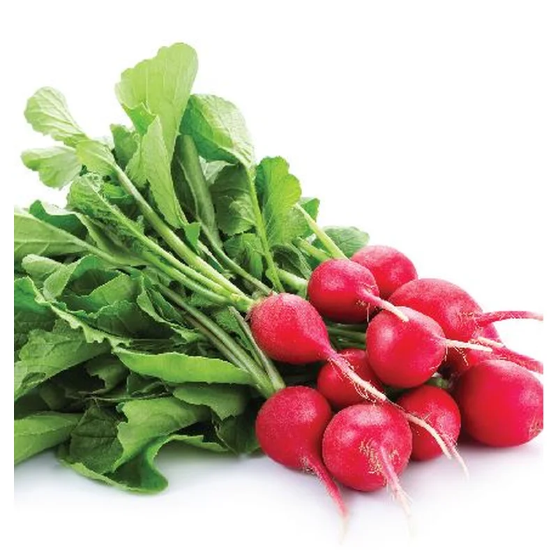 RADISH CRUNCHY CRIMSON