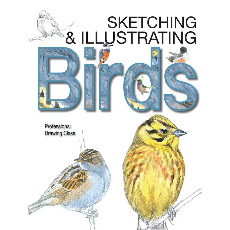 Sketching & Illustrating Birds: Professional Drawing Class by Juan Varela Sim