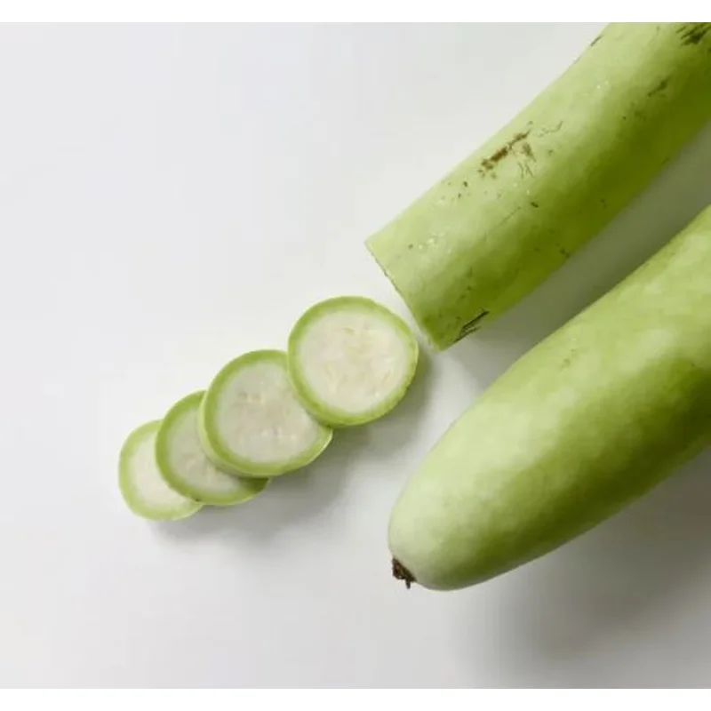 SQUASH CUCUZZI ITALIAN ZUCHINNI – 4″ POT