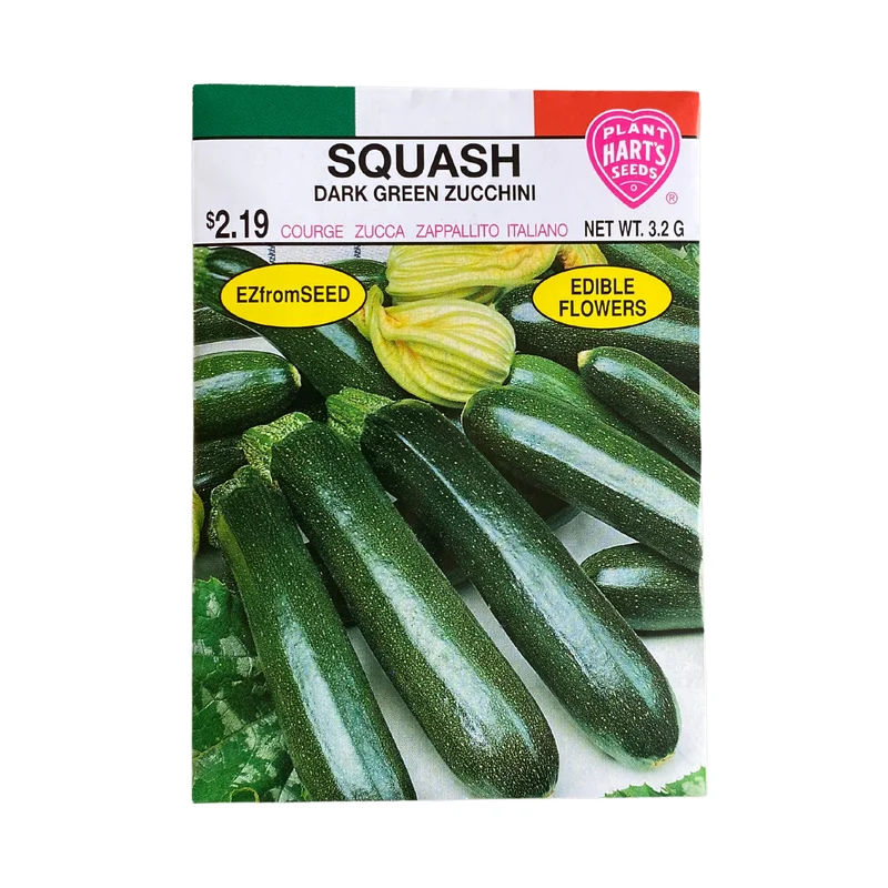 Squash Dark Green Zucchini
