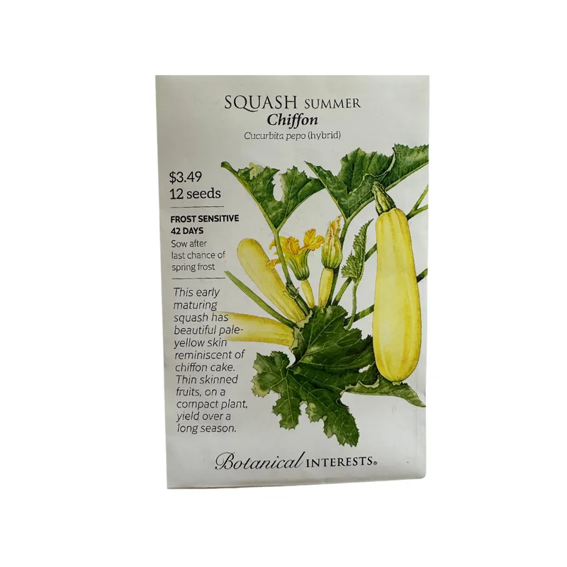 Squash Summer Chiffon hybrid