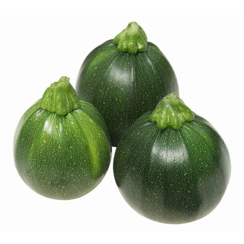 SQUASH SUMMER EIGHT BALL – 4″ POT