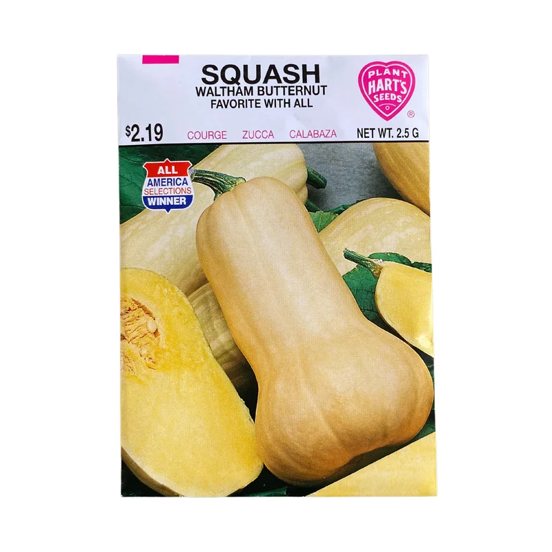 Squash Waltham Butternut