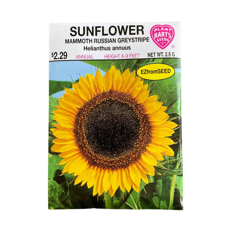 Sunflower Mammoth