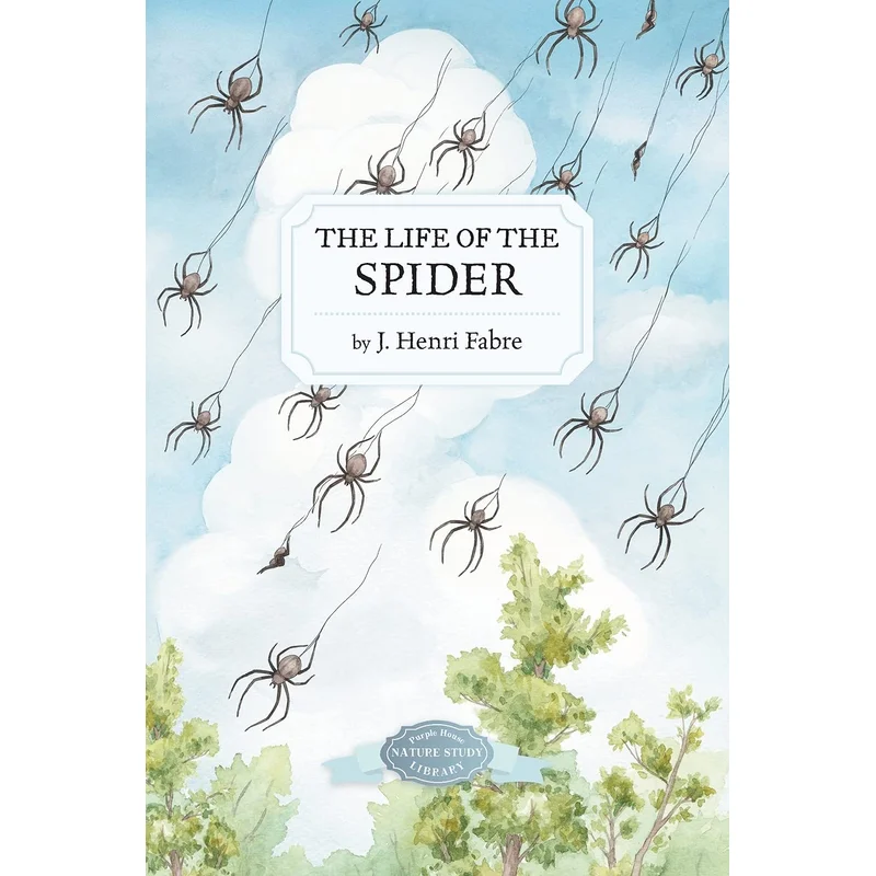 The Life of the Spider by J. Henry Fabre