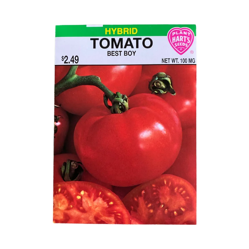 Tomato Best Boy