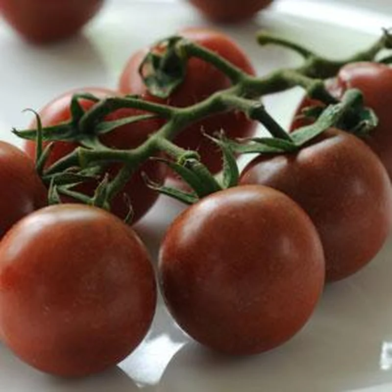 TOMATO BLACK CHERRY – 2 GALLON WITH CAGE