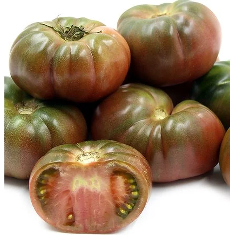 TOMATO BLACK KRIM – 4″ POT
