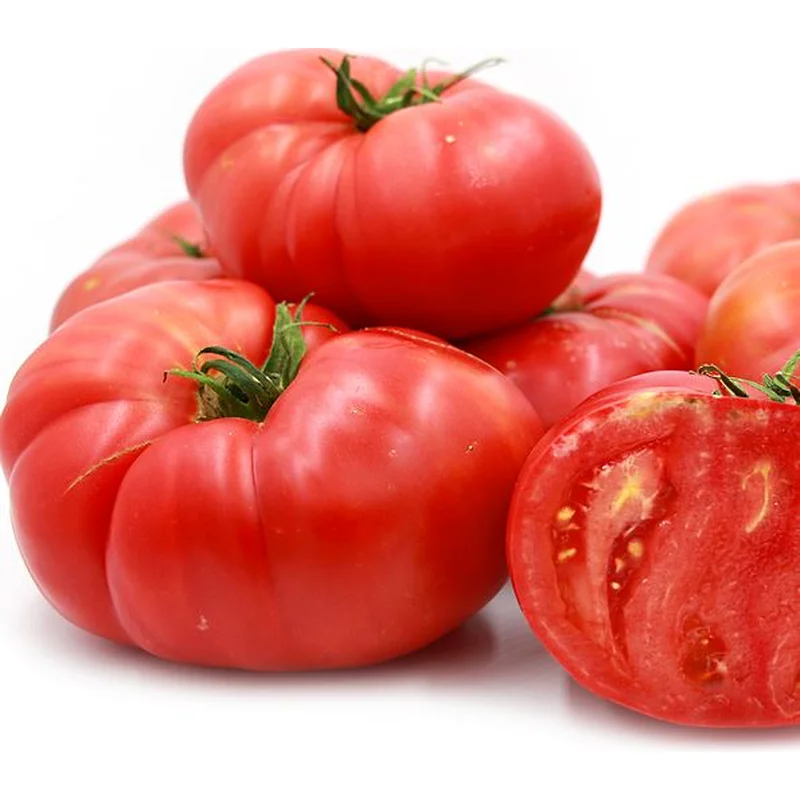 TOMATO BRANDYWINE – FLAT OF 32 PLANTS