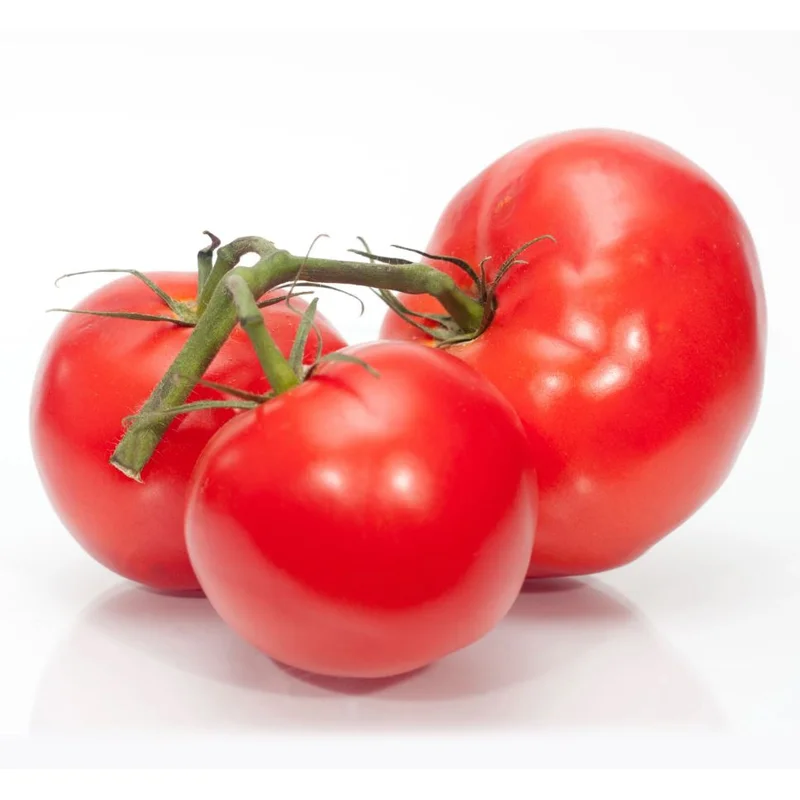 TOMATO BURPEE BIG BOY – FLAT OF 32 PLANTS