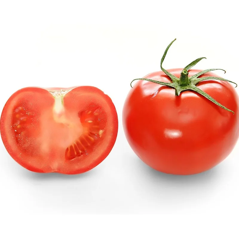 TOMATO CAMPBELL 1327 – 4″ POT