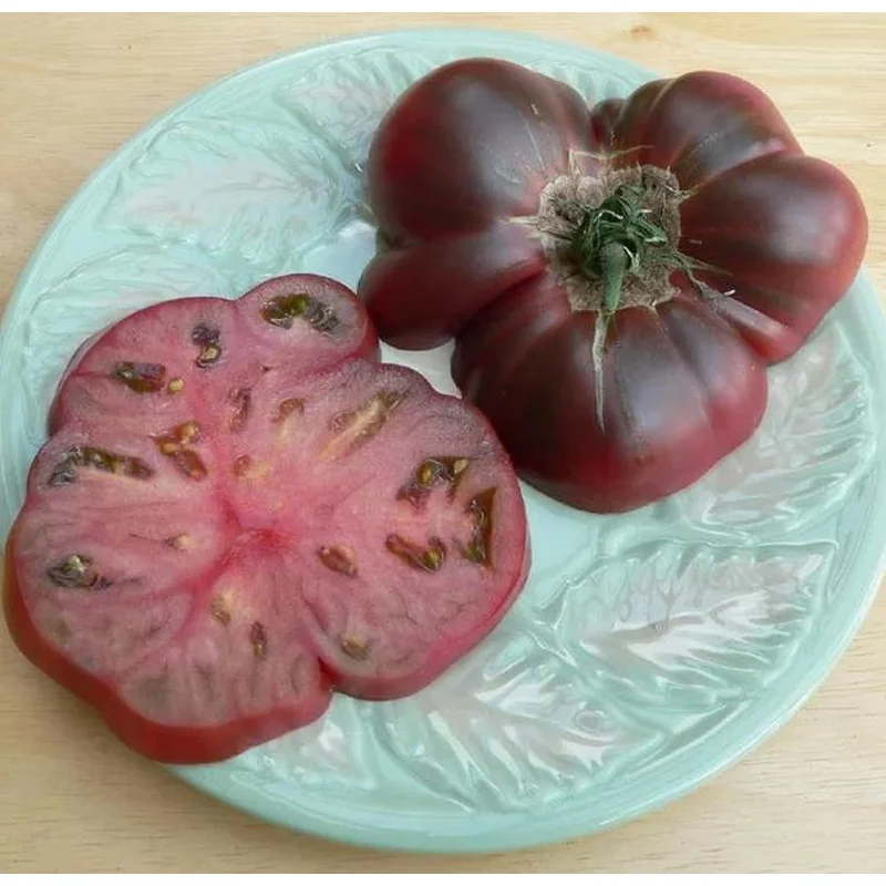 TOMATO CHEROKEE PURPLE – 4″ POT