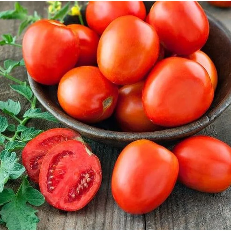 TOMATO HEINZ 1439 – 4″ POT
