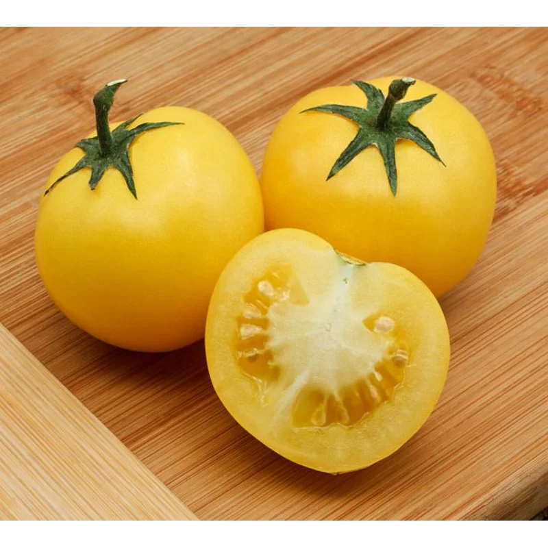 TOMATO LEMON BOY – 4″ POT