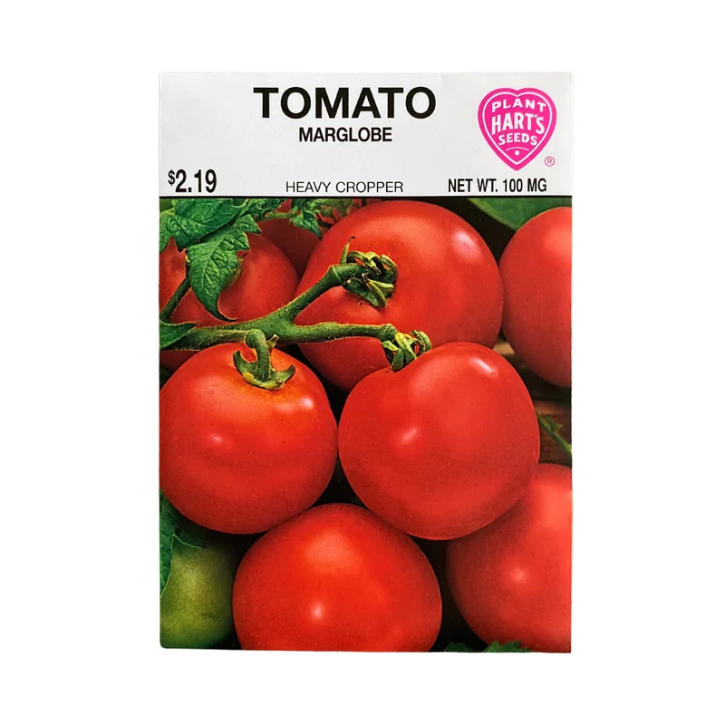 Tomato Marglobe