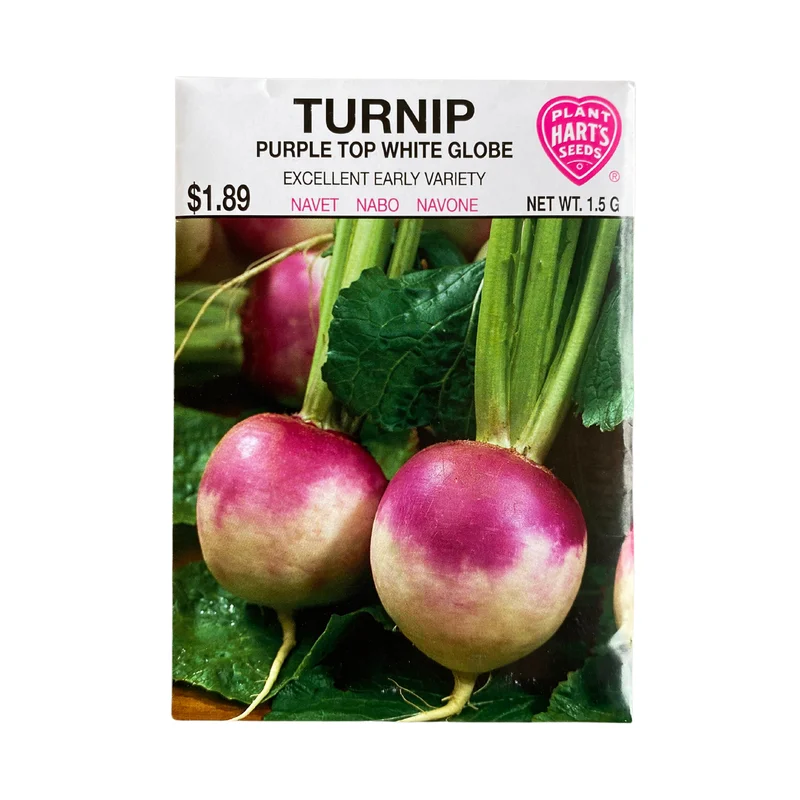Turnip Purple Top