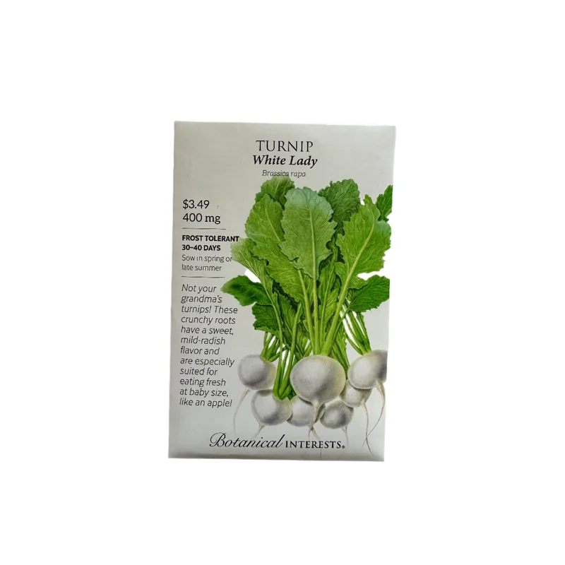 Turnip White Lady