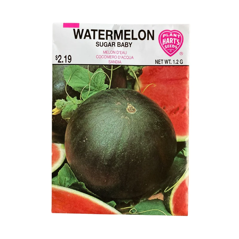 Watermelon Sugar Baby