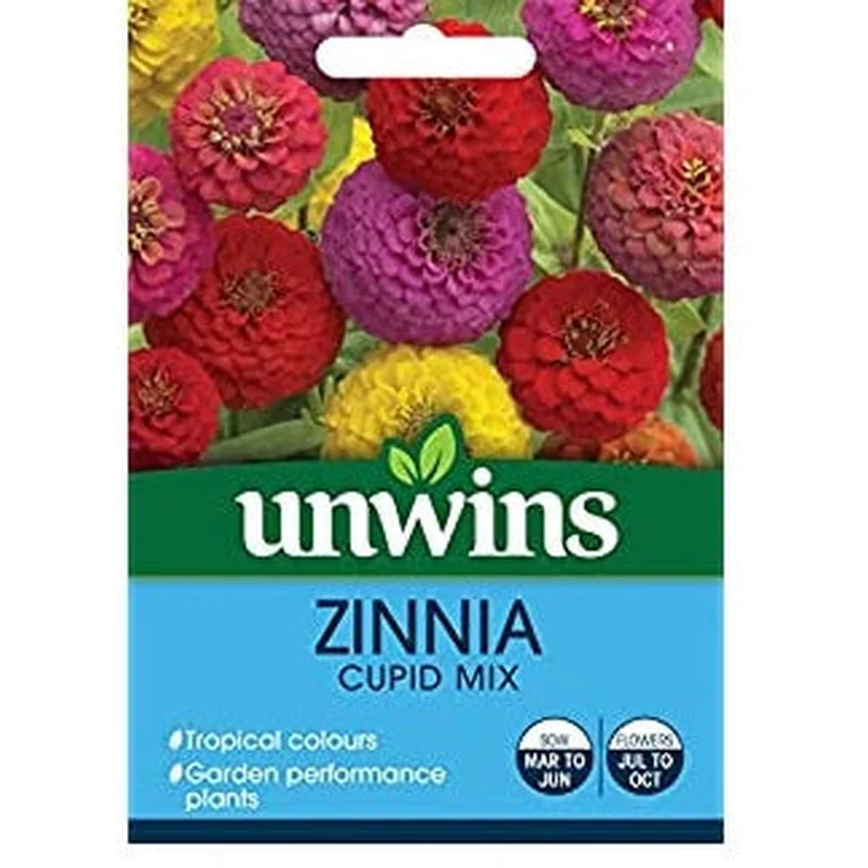 Zinnia Cupid Mix